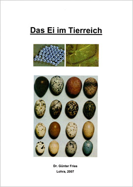 Das Ei im Tierreich
